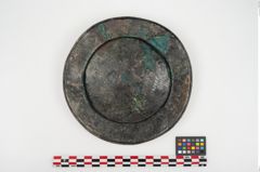 Foto von Bronzephalere (NHMW-PRAE-025405)